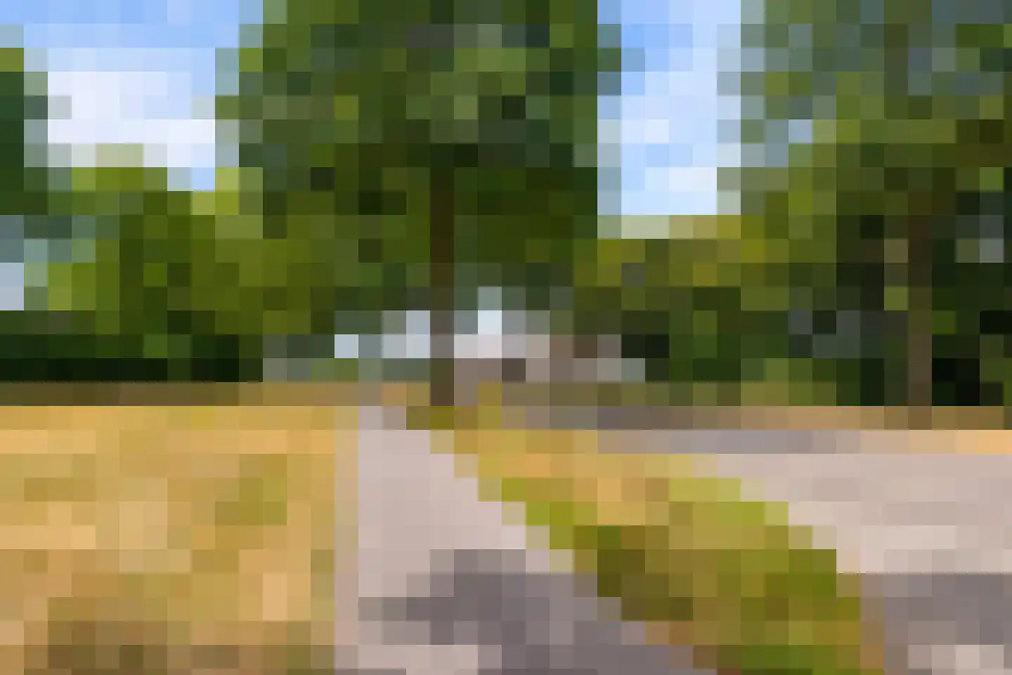 Bietenakker 29 Wezep thumbnail 67