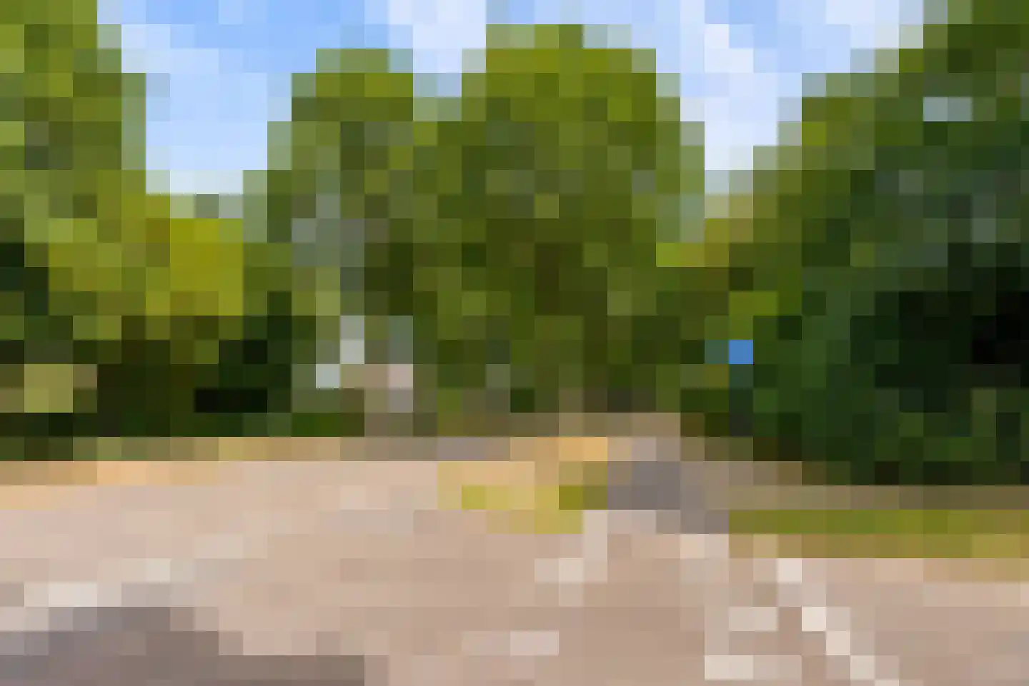 Bietenakker 29 Wezep thumbnail 68