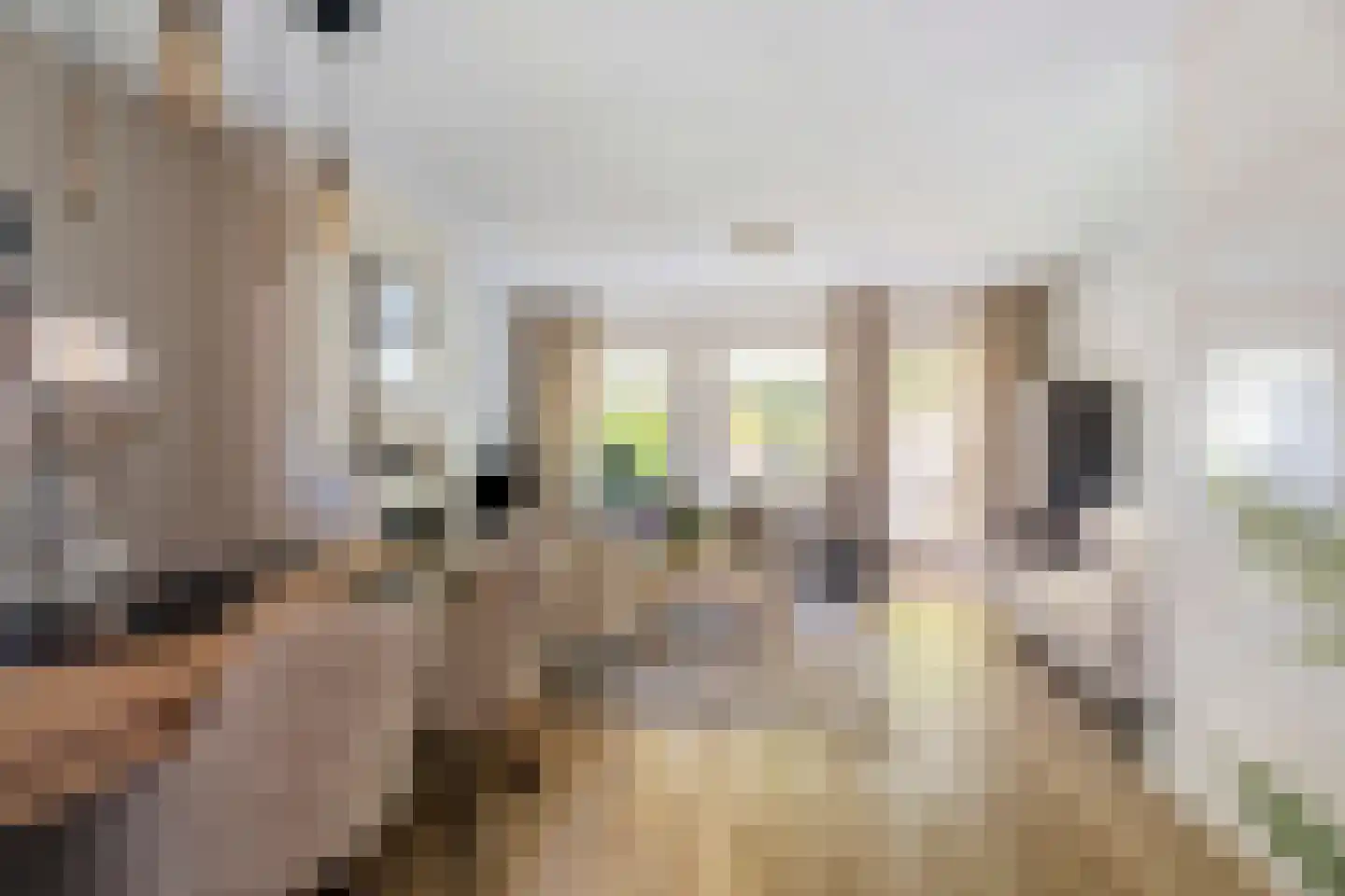 Bietenakker 33 Wezep thumbnail 14
