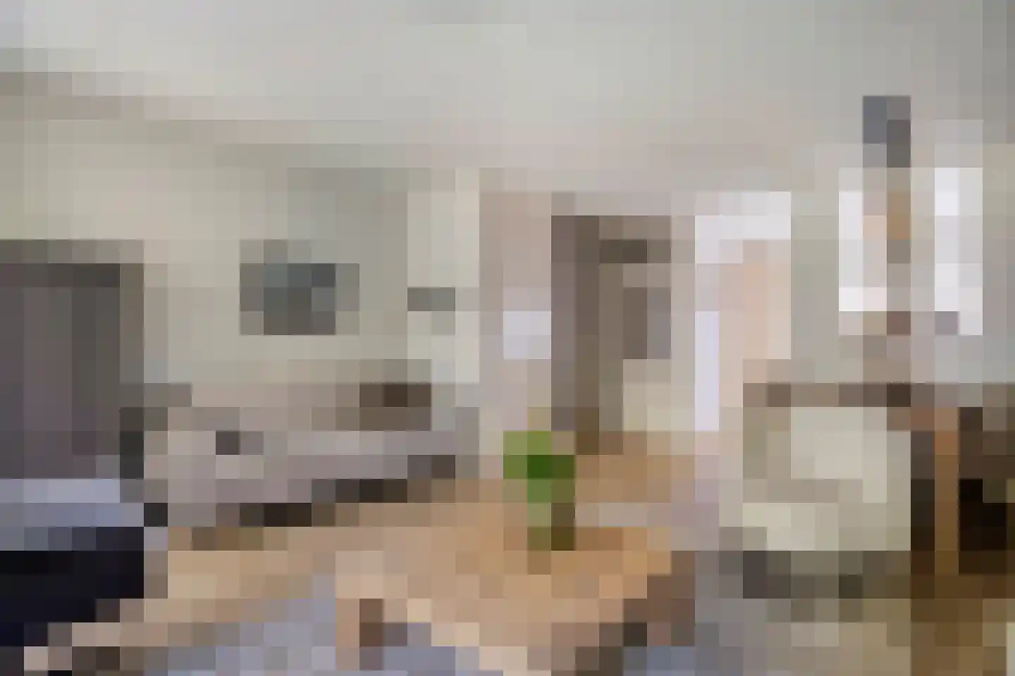 Bietenakker 33 Wezep thumbnail 17