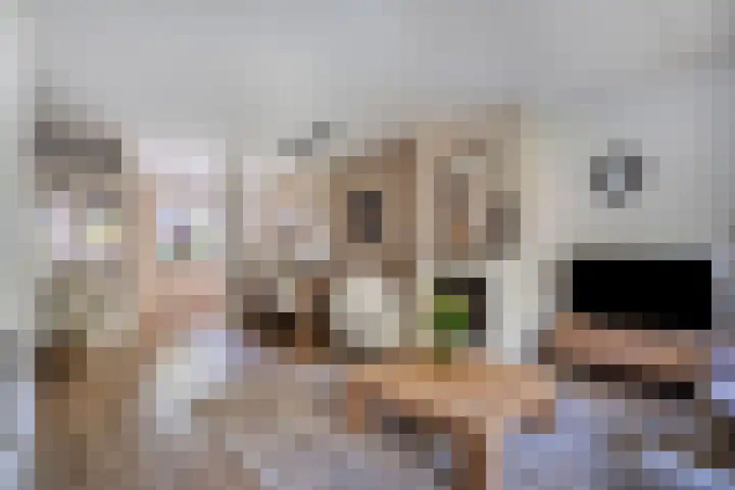 Bietenakker 33 Wezep thumbnail 18