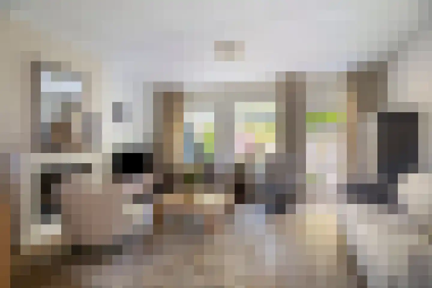 Bietenakker 33 Wezep foto 2