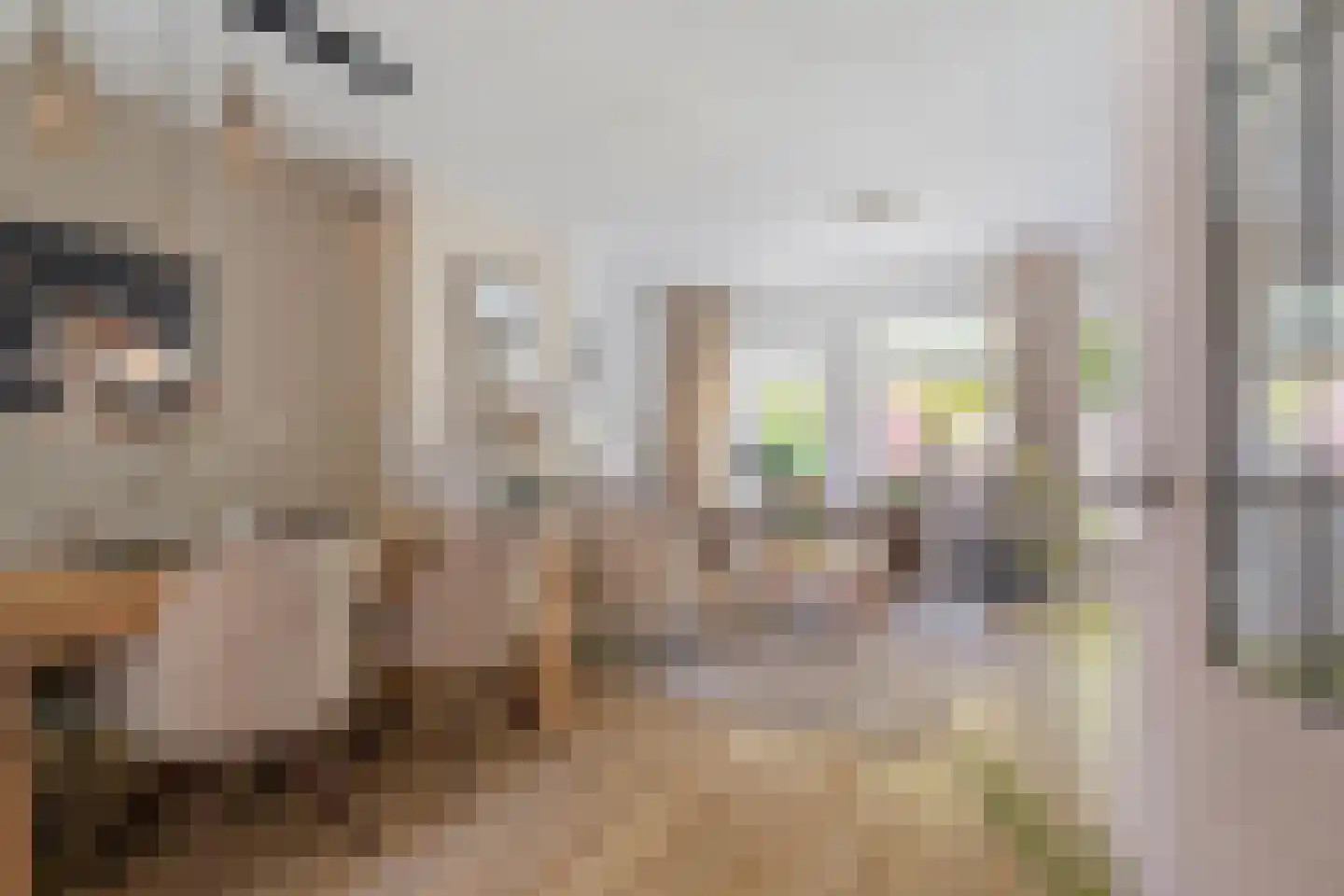 Bietenakker 33 Wezep thumbnail 20