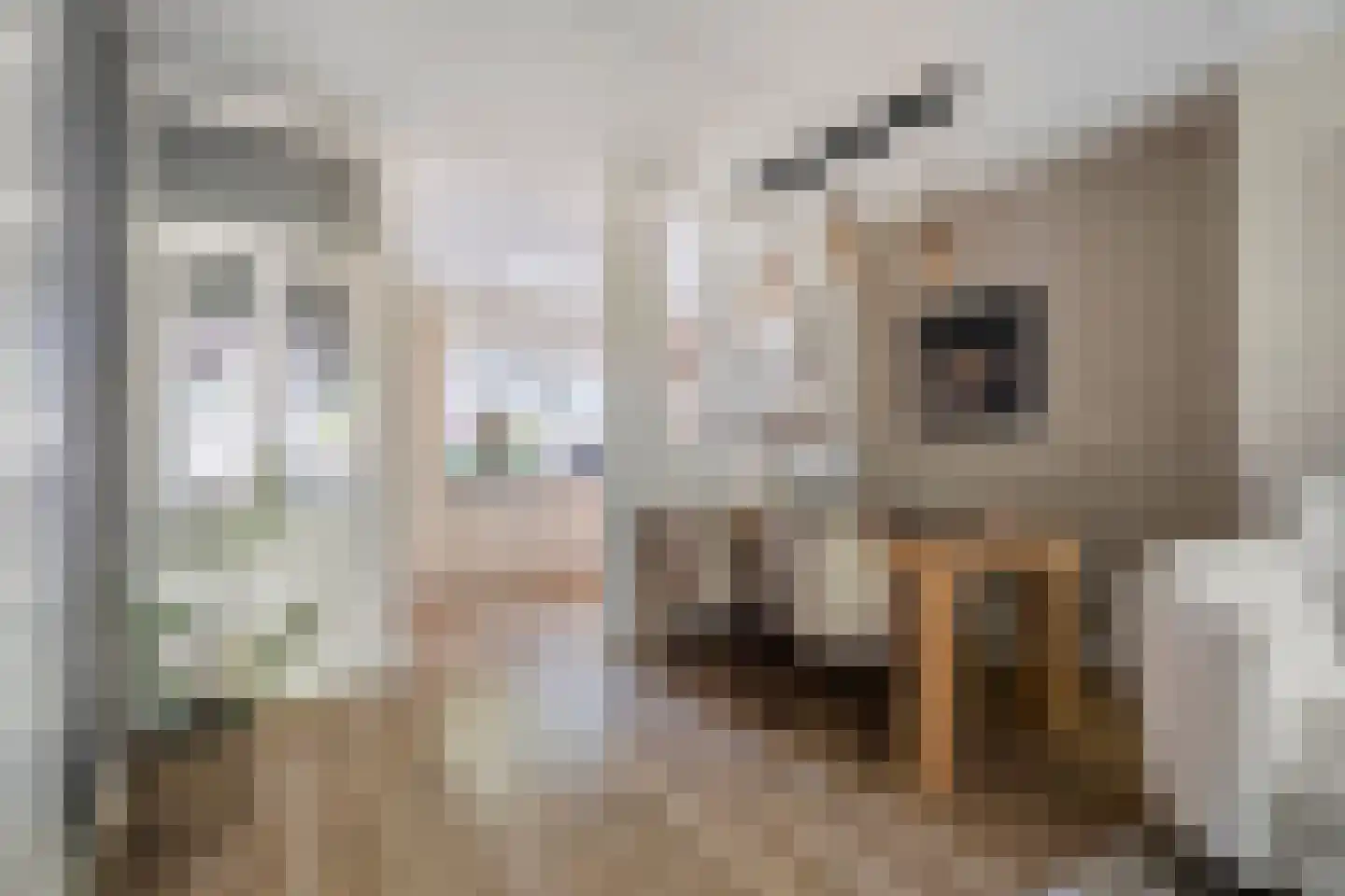 Bietenakker 33 Wezep thumbnail 22