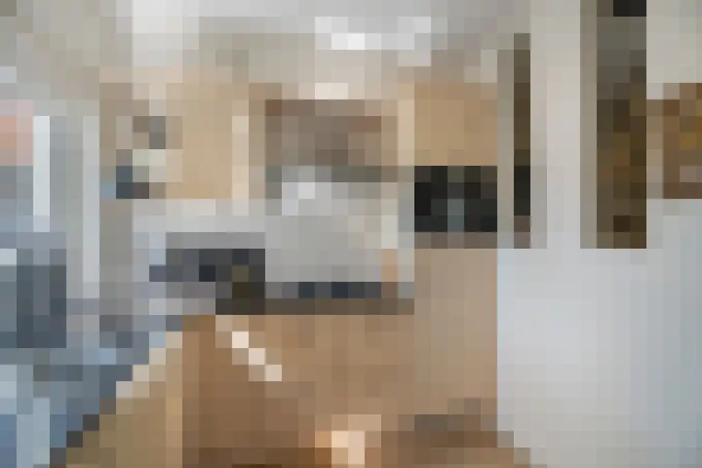 Bietenakker 33 Wezep thumbnail 25