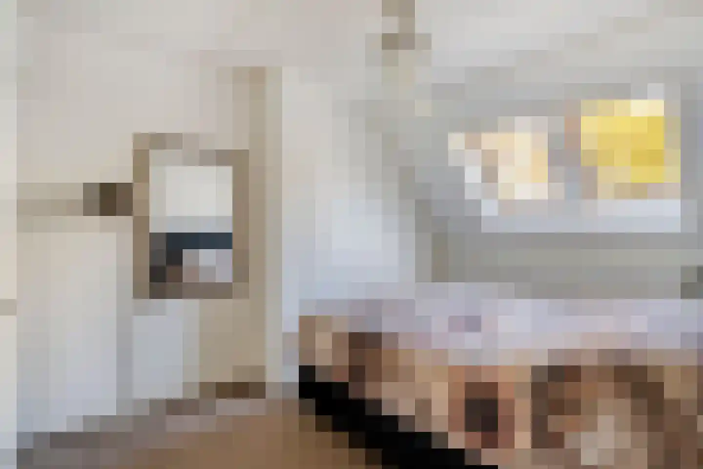 Bietenakker 33 Wezep thumbnail 29