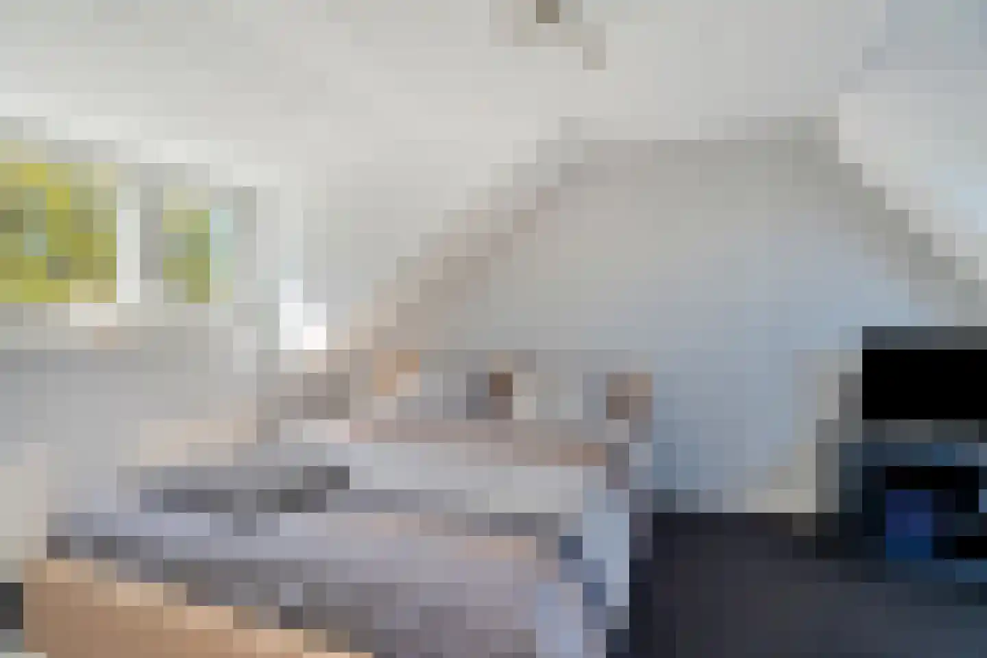 Bietenakker 33 Wezep thumbnail 36
