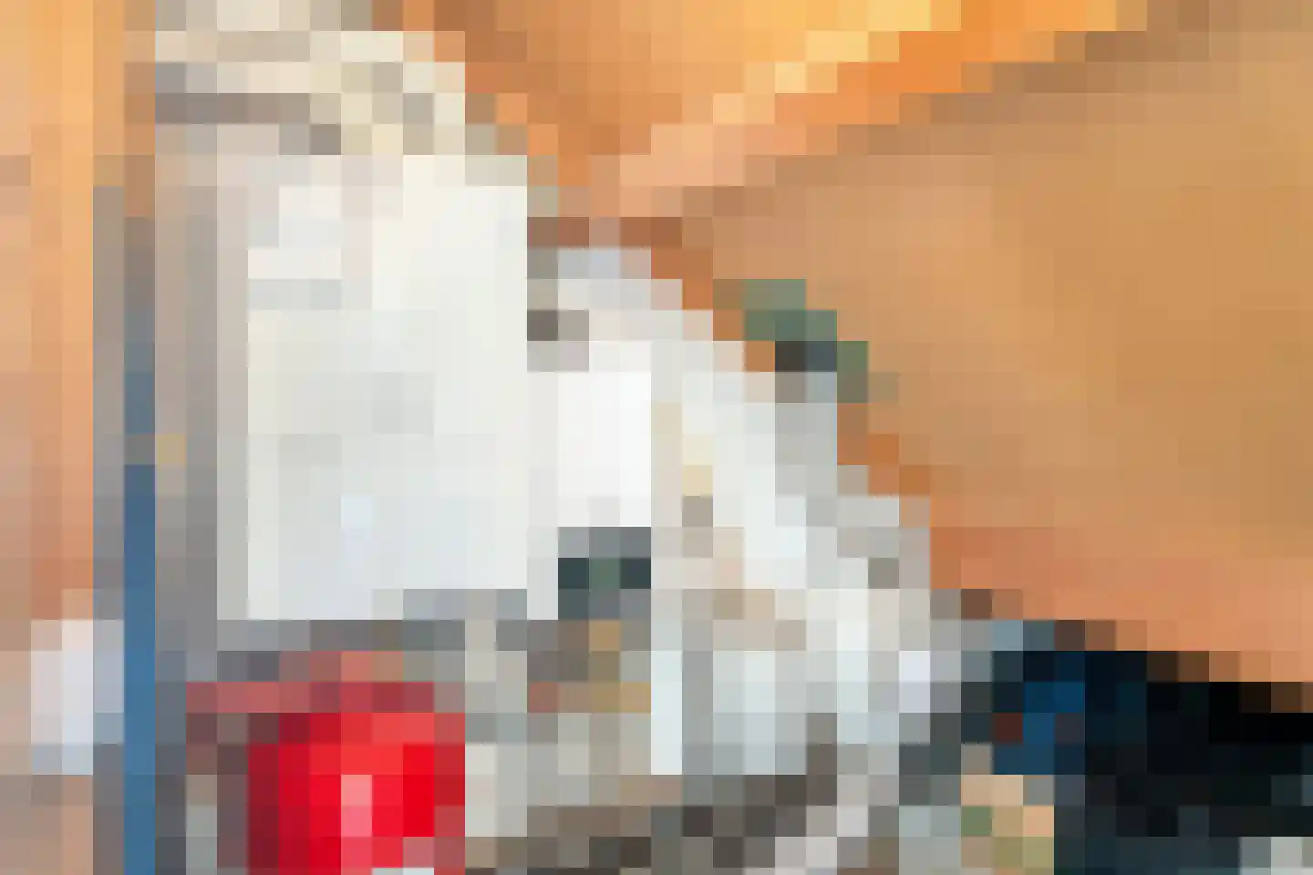 Bietenakker 33 Wezep thumbnail 41