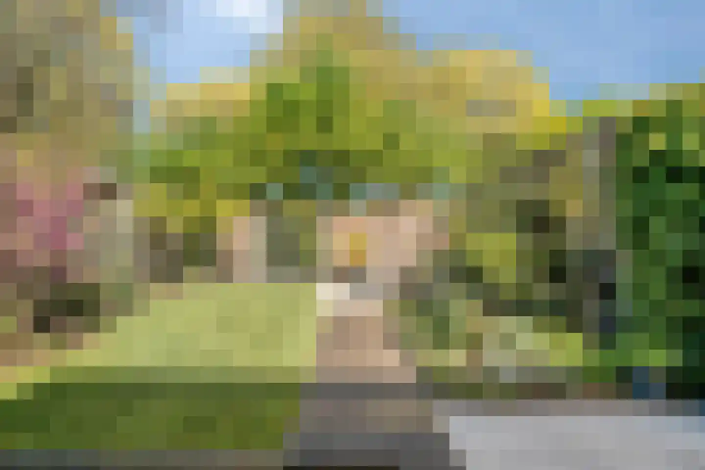 Bietenakker 33 Wezep thumbnail 42