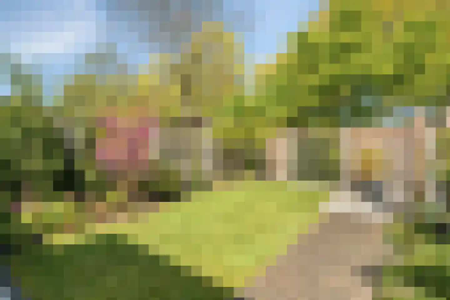 Bietenakker 33 Wezep thumbnail 43