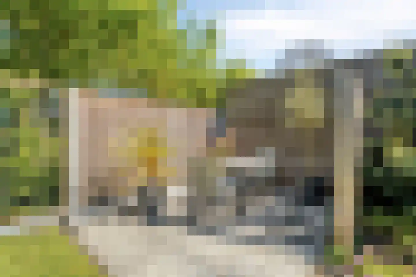Bietenakker 33 Wezep thumbnail 45