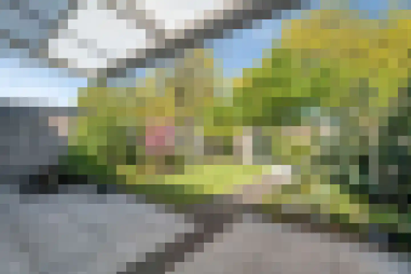 Bietenakker 33 Wezep thumbnail 49