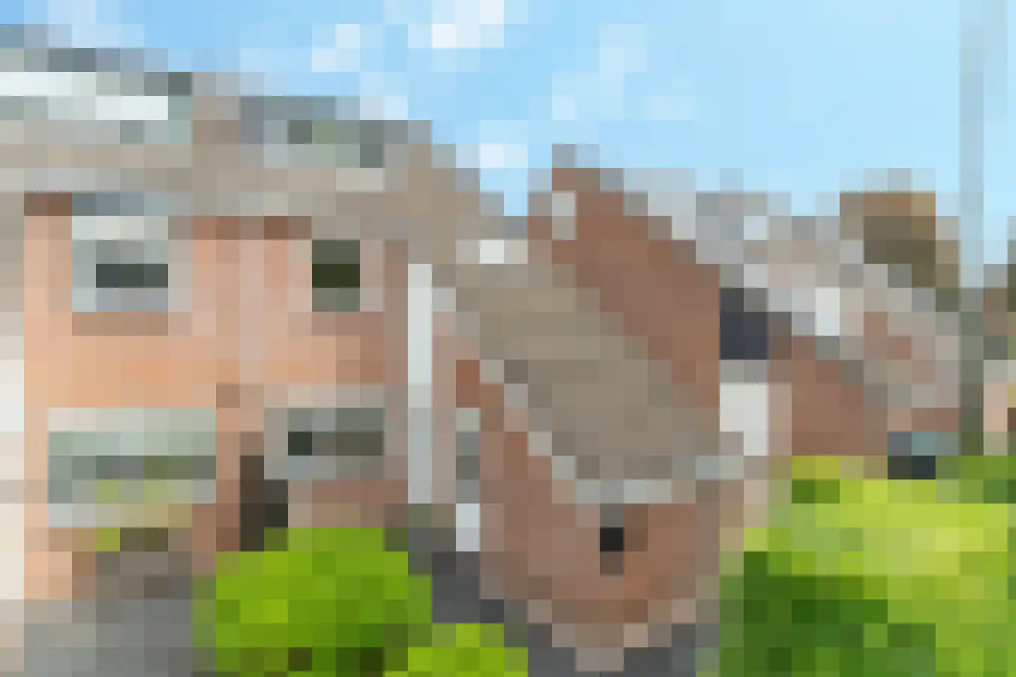 Bietenakker 33 Wezep thumbnail 5