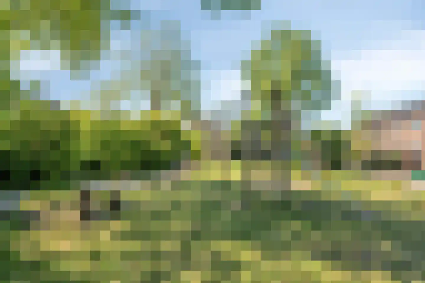 Bietenakker 33 Wezep thumbnail 51