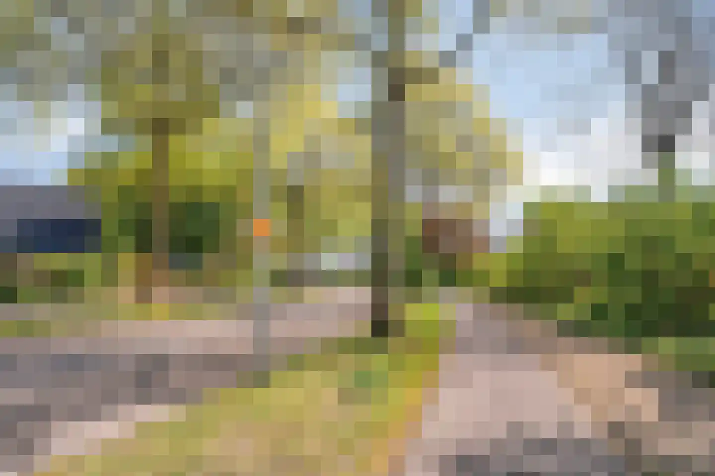 Bietenakker 33 Wezep thumbnail 52
