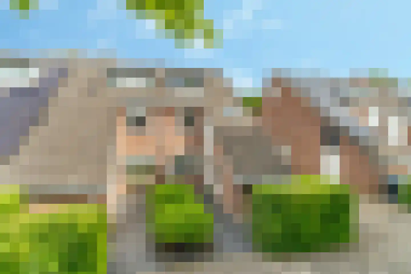 Bietenakker 33 Wezep thumbnail 6