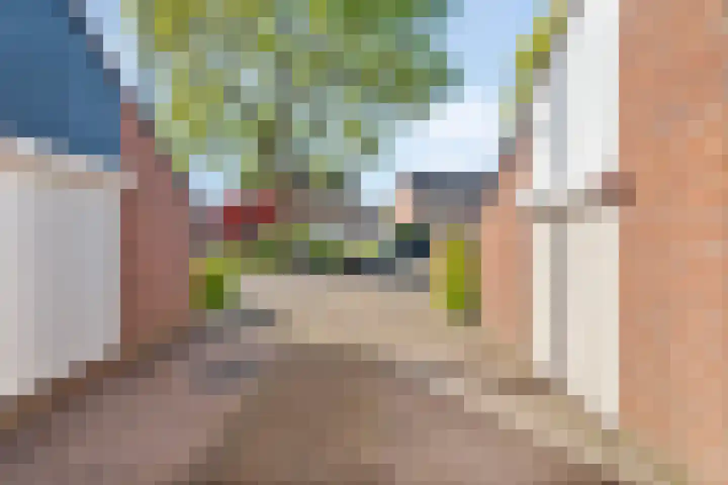 Bietenakker 33 Wezep thumbnail 9