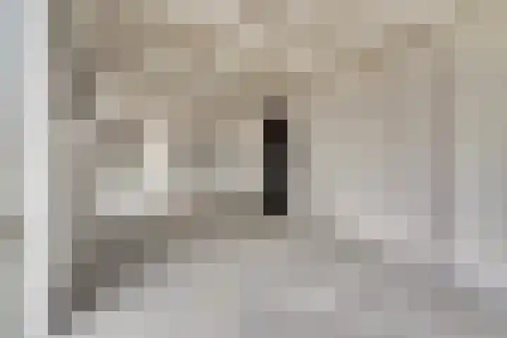 Bietenrooierdreef 11 Harderwijk thumbnail 19