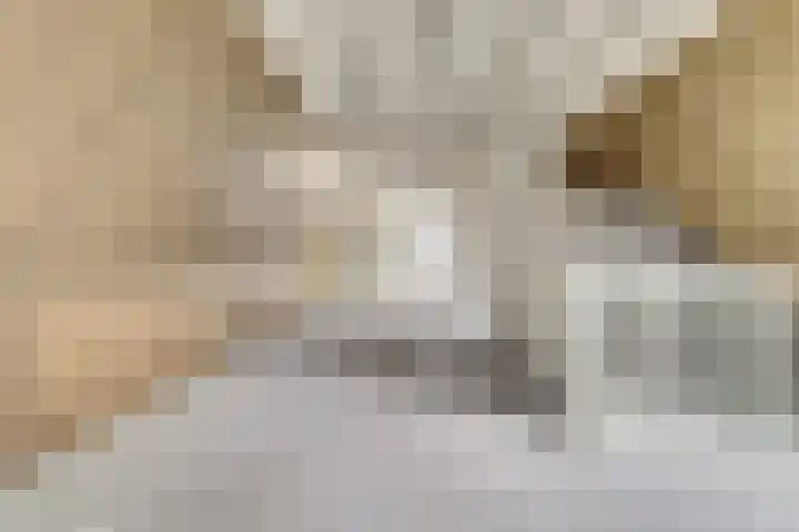 Bietenrooierdreef 11 Harderwijk thumbnail 32