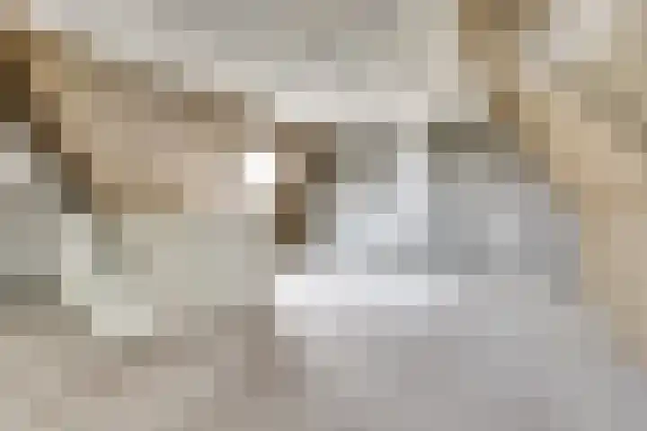 Bietenrooierdreef 11 Harderwijk thumbnail 33