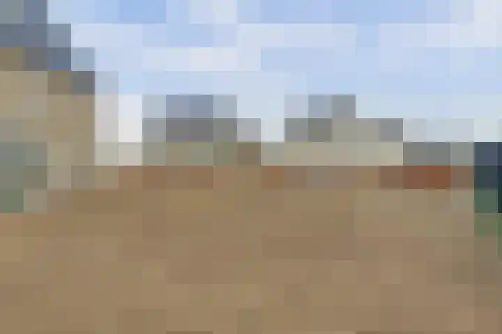Bietenrooierdreef 11 Harderwijk thumbnail 36