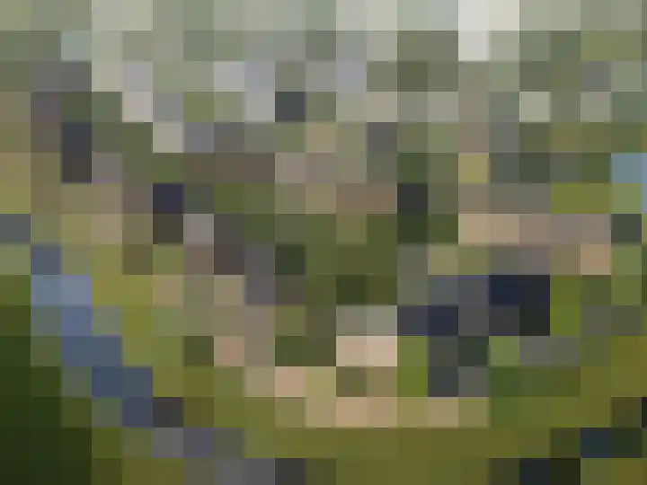 Bietenrooierdreef 11 Harderwijk thumbnail 4