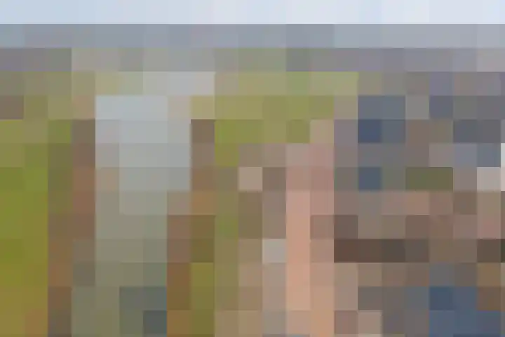 Bietenrooierdreef 11 Harderwijk thumbnail 40