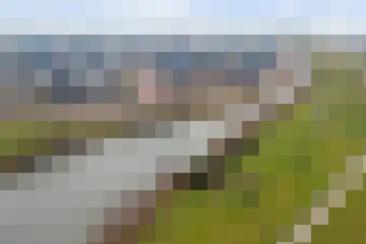 Bietenrooierdreef 11 Harderwijk thumbnail 42