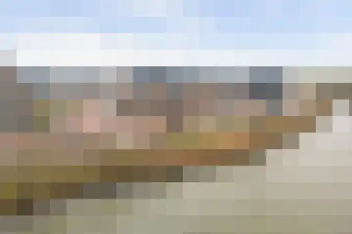Bietenrooierdreef 11 Harderwijk thumbnail 43