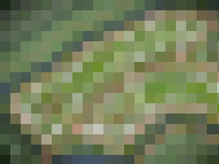 Bietenrooierdreef 11 Harderwijk thumbnail 44