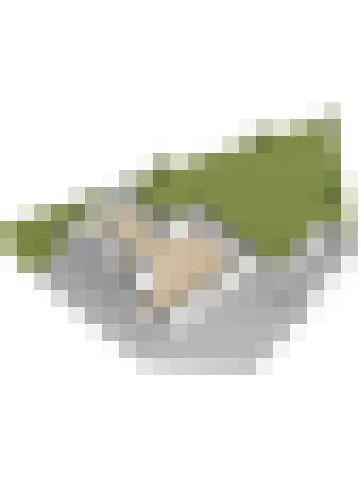 Bietenrooierdreef 11 Harderwijk thumbnail 55