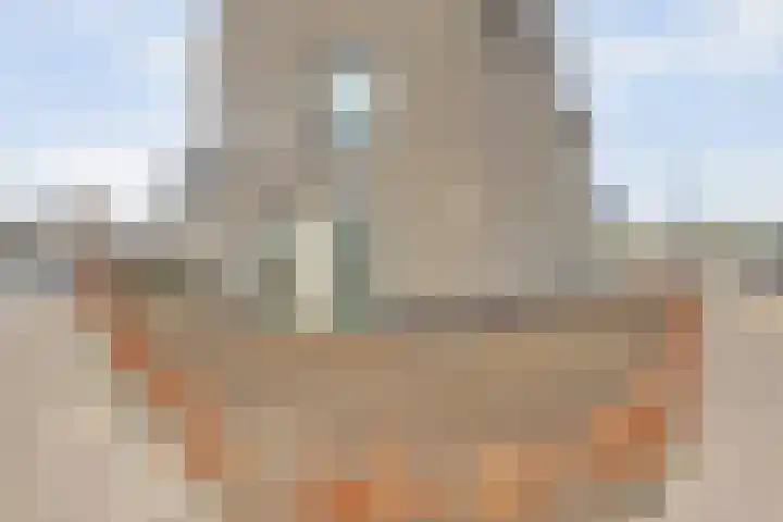 Bietenrooierdreef 11 Harderwijk thumbnail 8