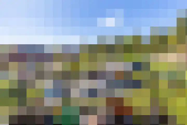 Biewemastraat 19 A Usquert thumbnail 22