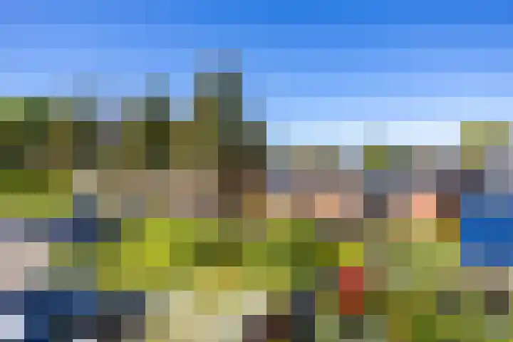 Biewemastraat 19 A Usquert thumbnail 23