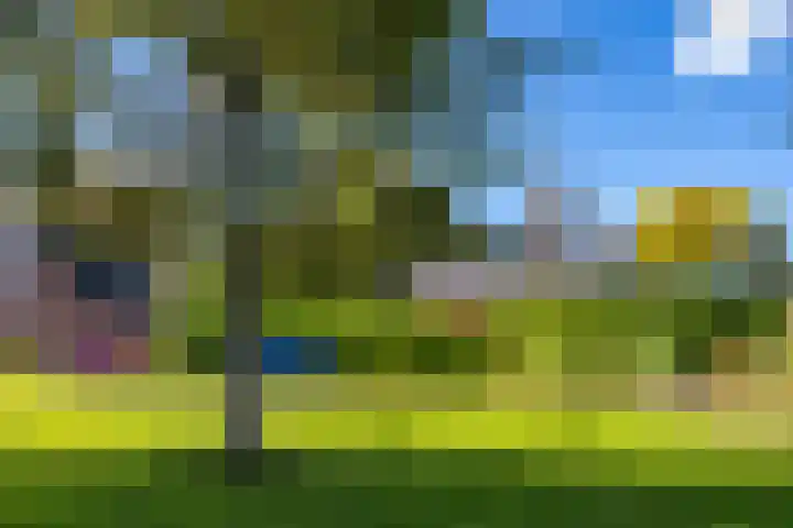 Biewemastraat 19 A Usquert thumbnail 24