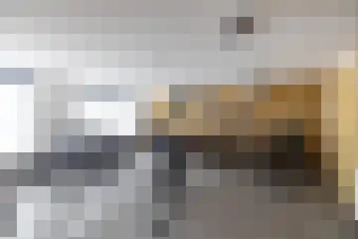 Biewemastraat 19 A Usquert thumbnail 28
