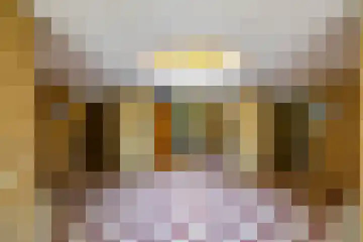 Biewemastraat 19 A Usquert thumbnail 4