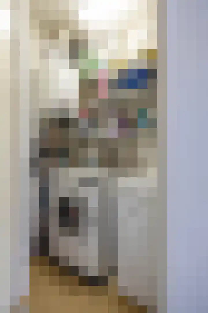 Biewemastraat 19 A Usquert thumbnail 9