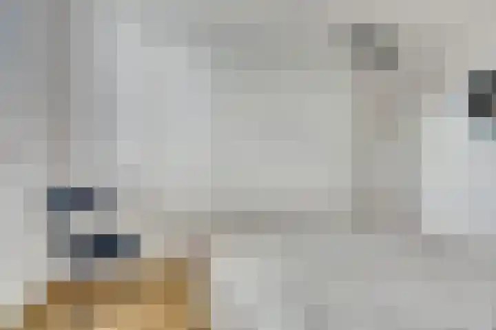 Bieze 21 Vinkel thumbnail 21