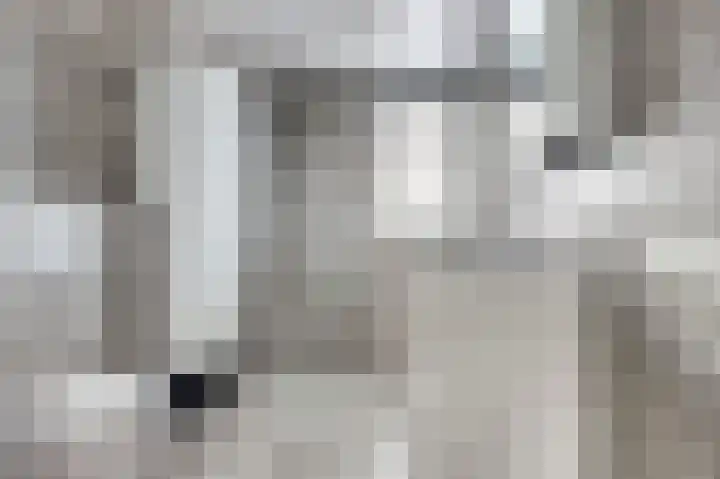 Bieze 21 Vinkel thumbnail 24