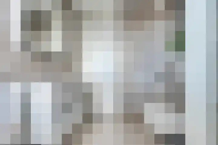 Bieze 21 Vinkel foto 3