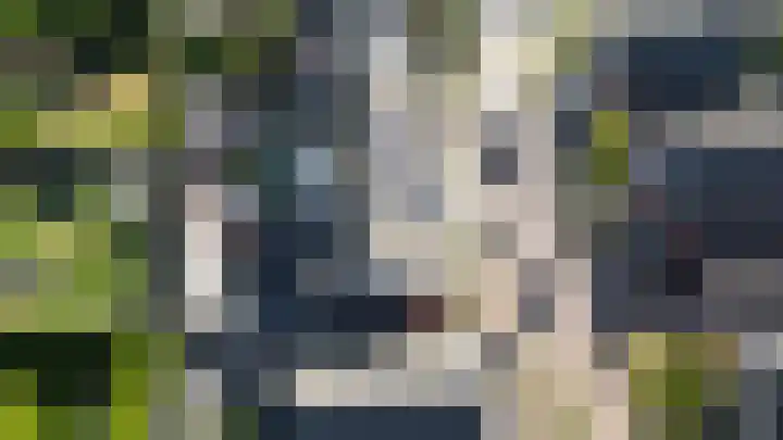 Bieze 21 Vinkel thumbnail 34