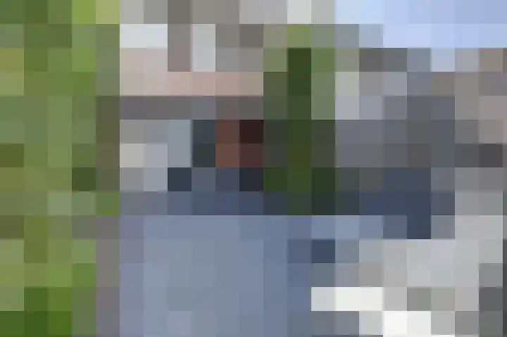 Bieze 21 Vinkel thumbnail 4