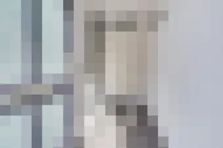 Bieze 21 Vinkel thumbnail 7