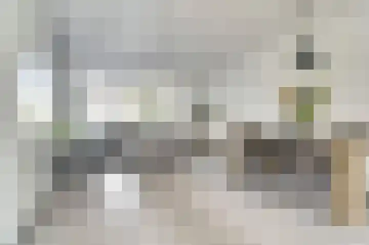 Bieze 21 Vinkel thumbnail 8