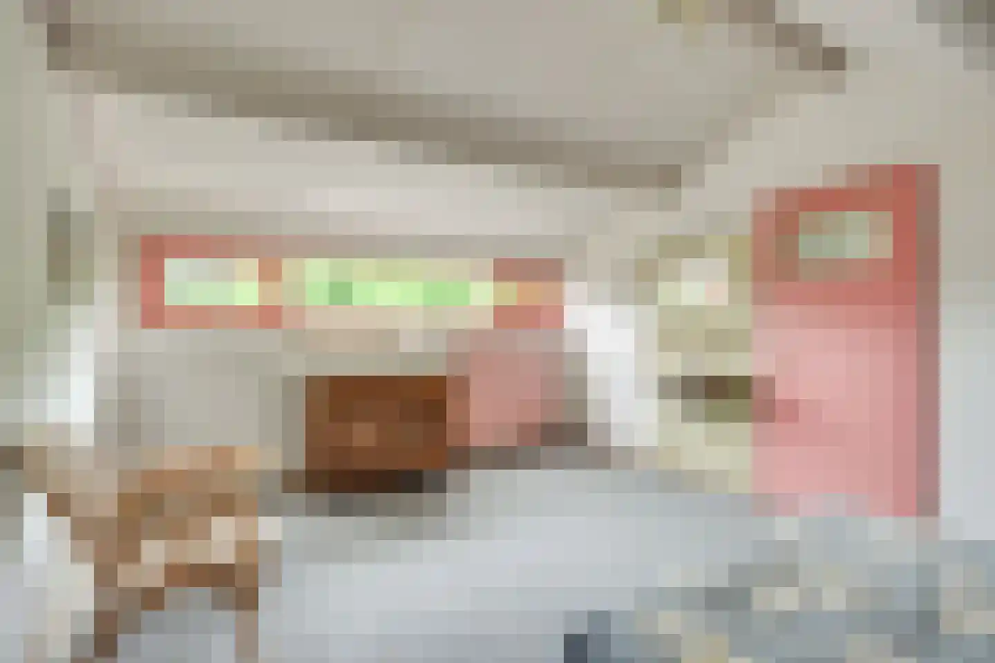 Biezebeek 13 Veldhoven thumbnail 26