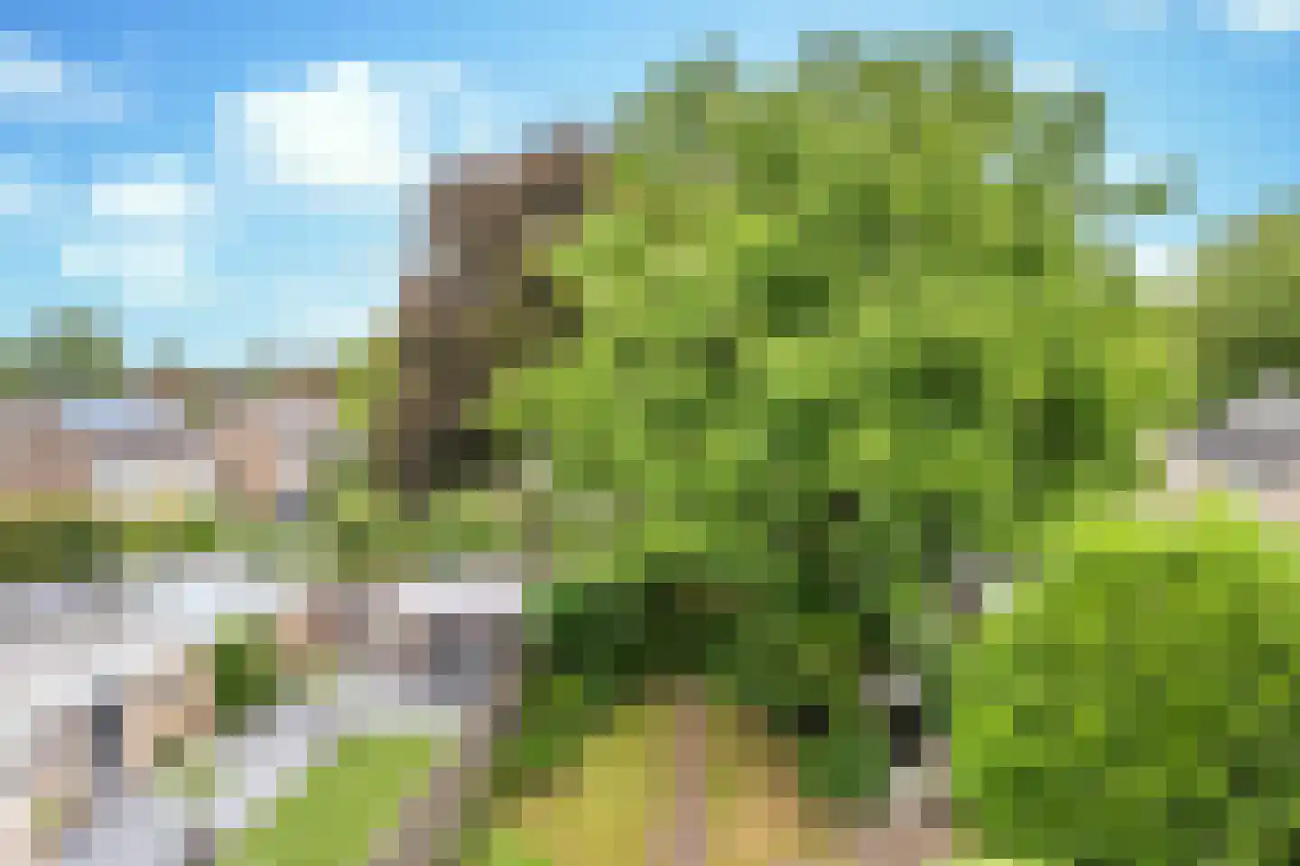 Biezebeek 13 Veldhoven thumbnail 30