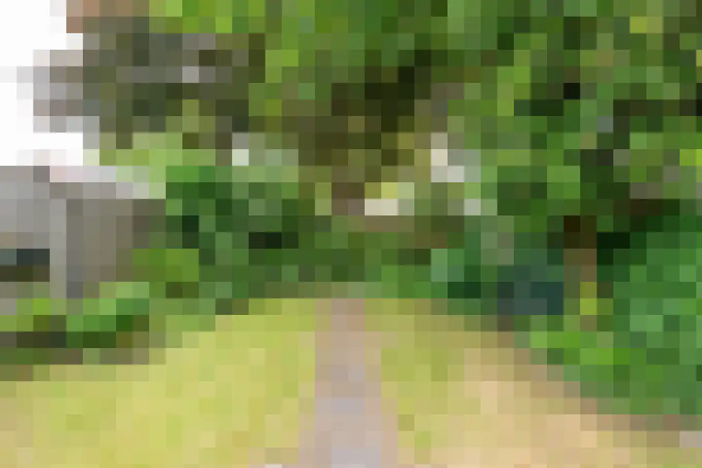 Biezebeek 13 Veldhoven thumbnail 31