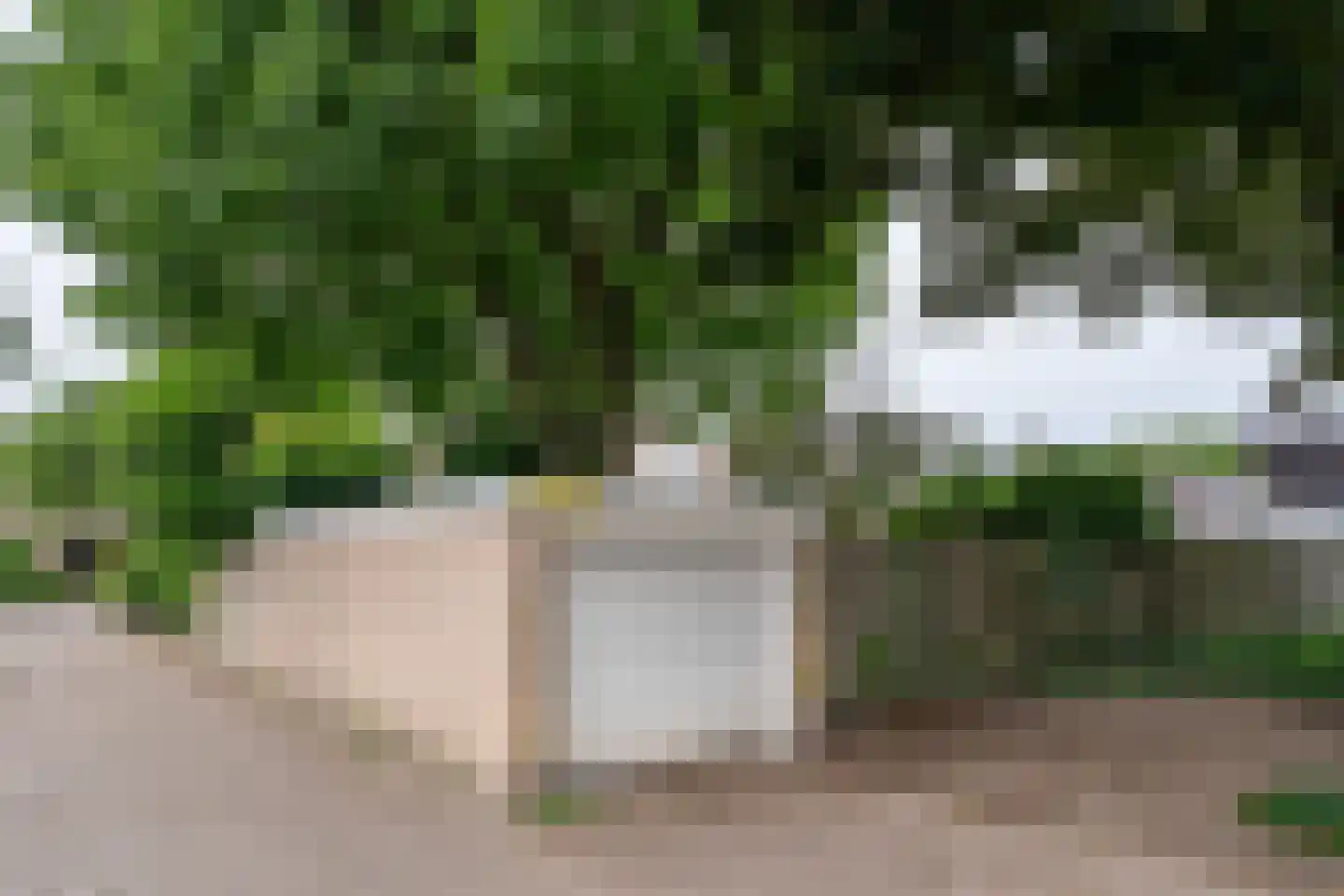 Biezebeek 13 Veldhoven thumbnail 33