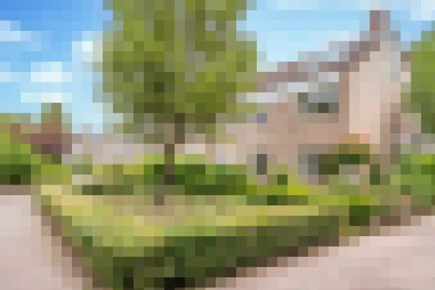Biezebeek 13 Veldhoven thumbnail 34